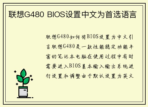 联想G480 BIOS设置中文为首选语言